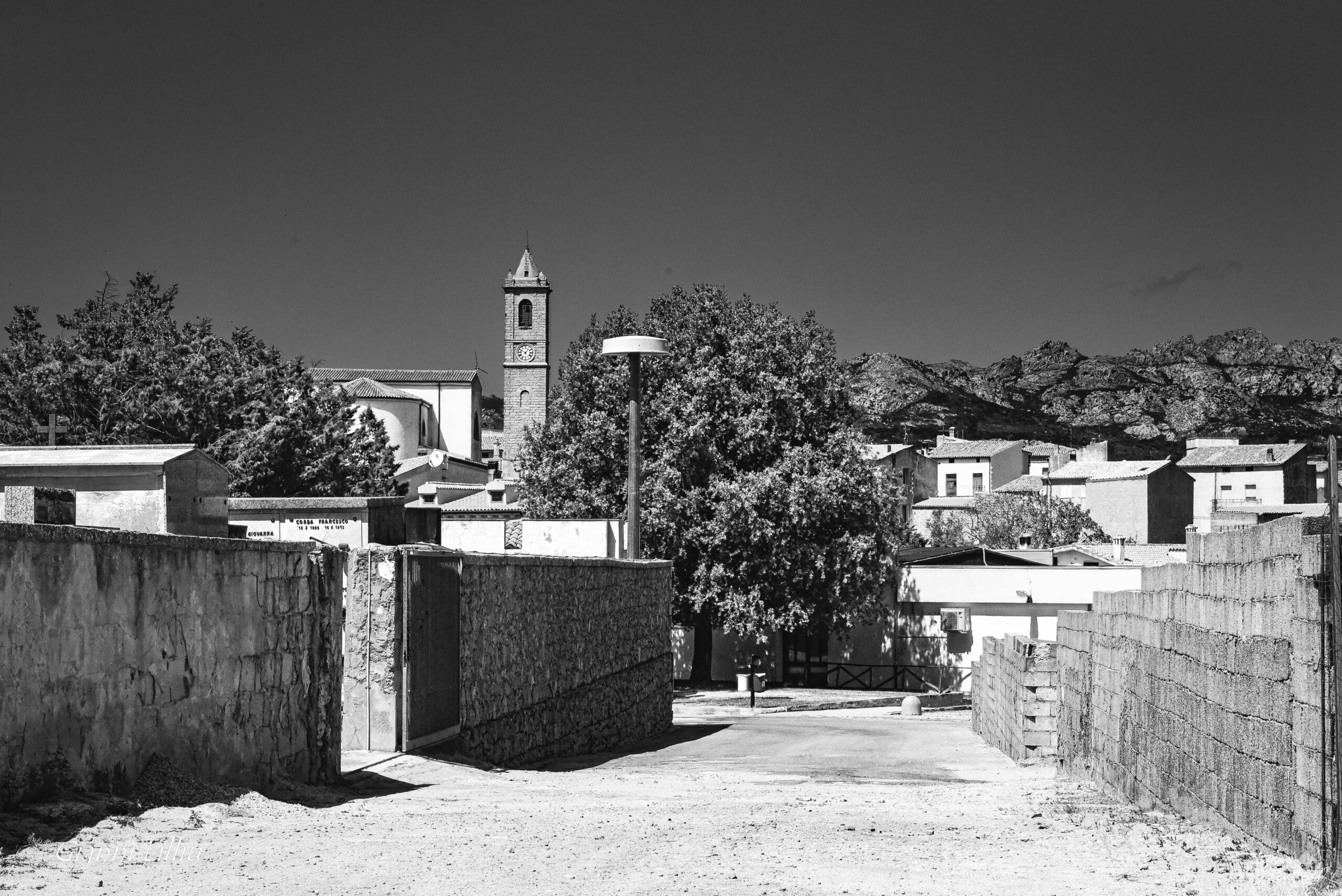 DSC_7509